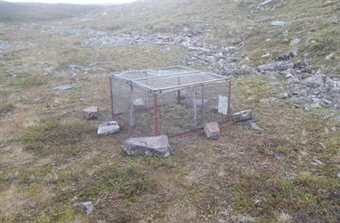 Vegetasjonsbur på Varangerhalvøya